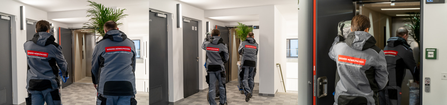 Firmenumzug Möbelpacker
