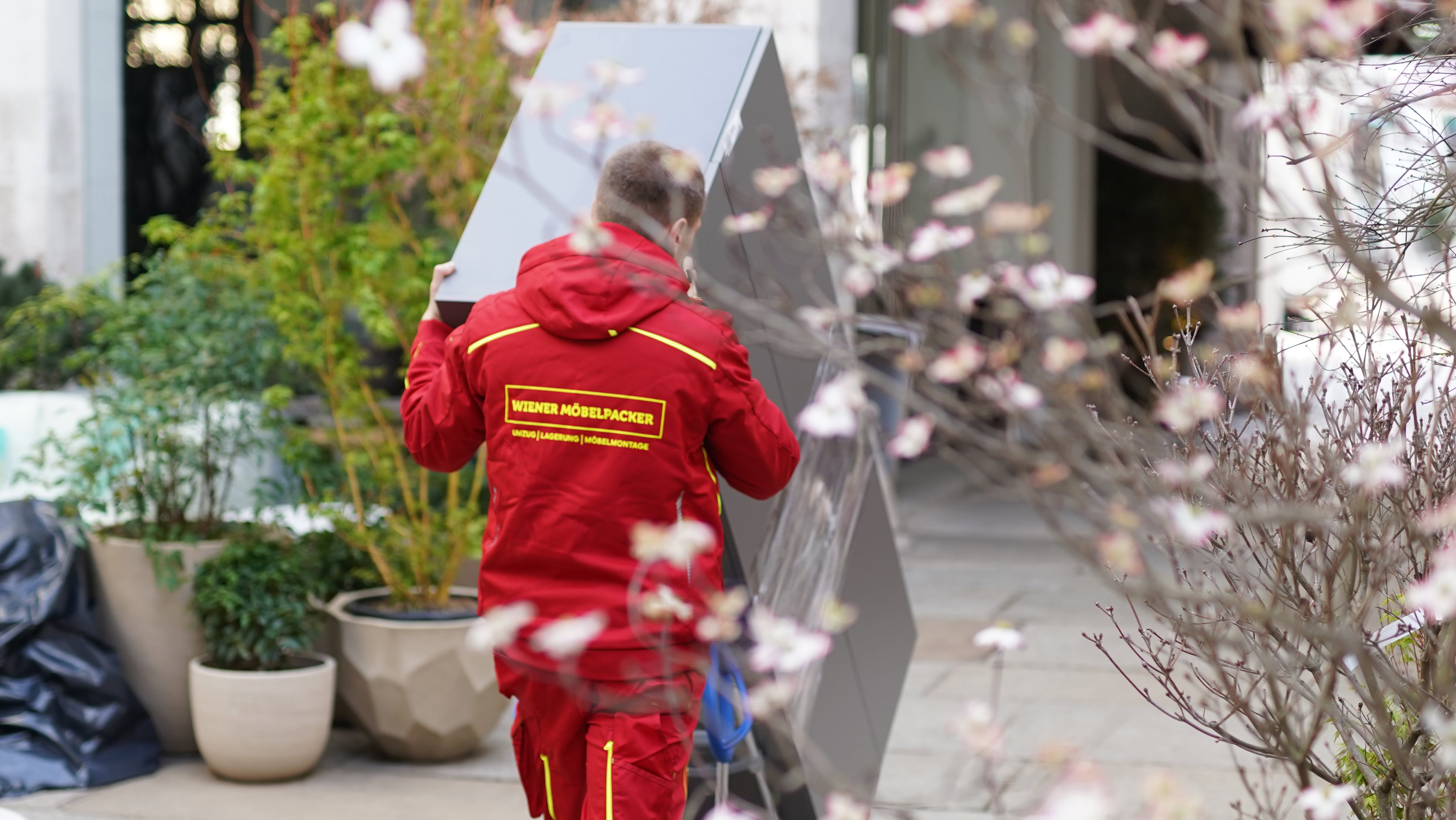 umzug wien umzugsservice